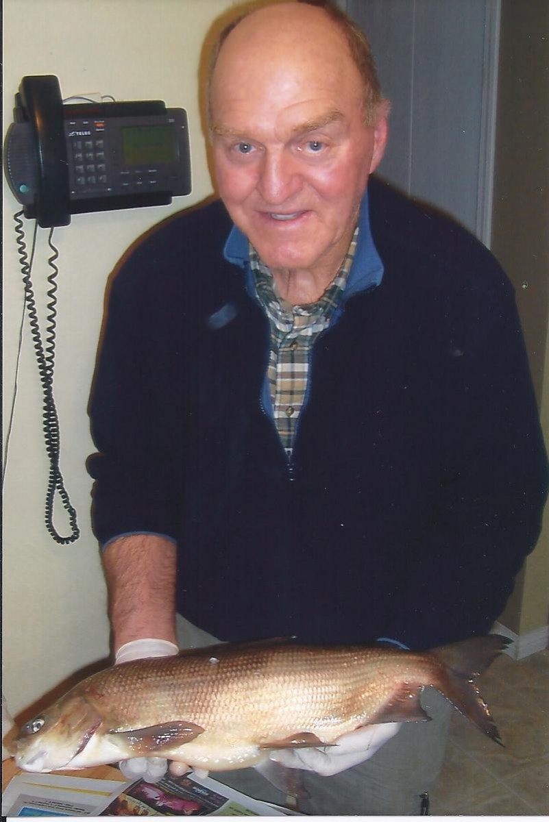1 Whitefish-Bill Armstrong